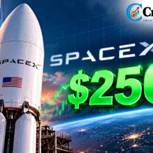 SpaceX SPCX Stock Price Prediction