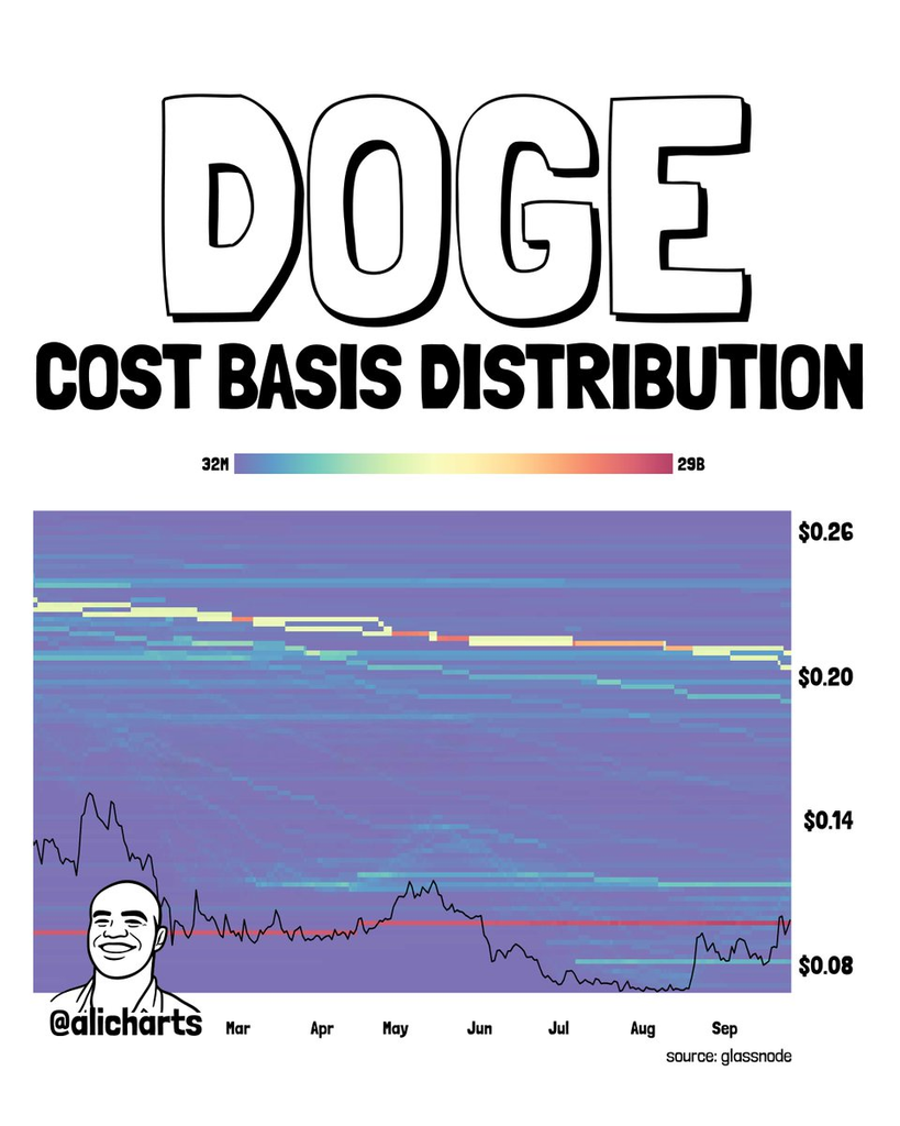 Dogecoin Price Analysis | Source: Ali Martinez, X