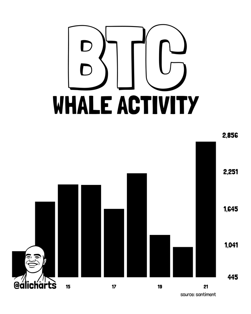 Bitcoin Whale Activity | Source: X